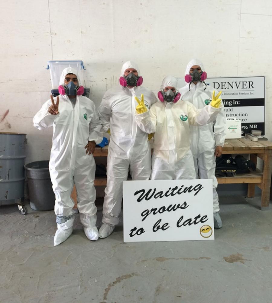Asbestos Removal