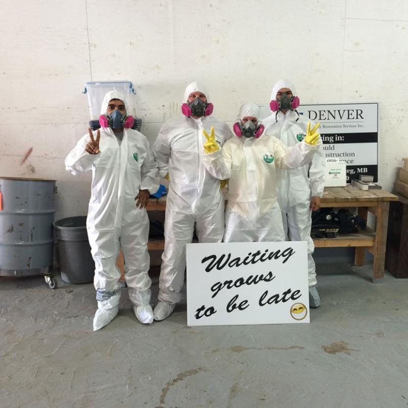 Asbestos Removal
